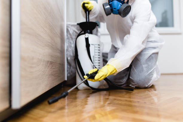 Best Rat Extermination Near Me  in Bermuda Dunes, CA