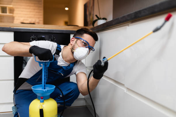 Best Pest Inspection Near Me  in Bermuda Dunes, CA