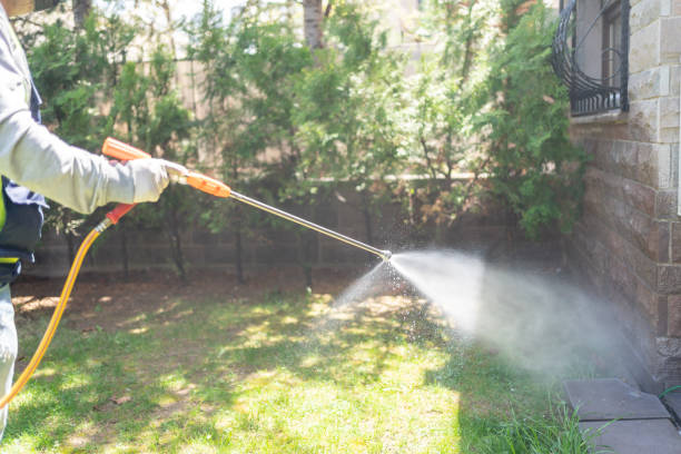 Reliable Bermuda Dunes, CA Pest Control Solutions