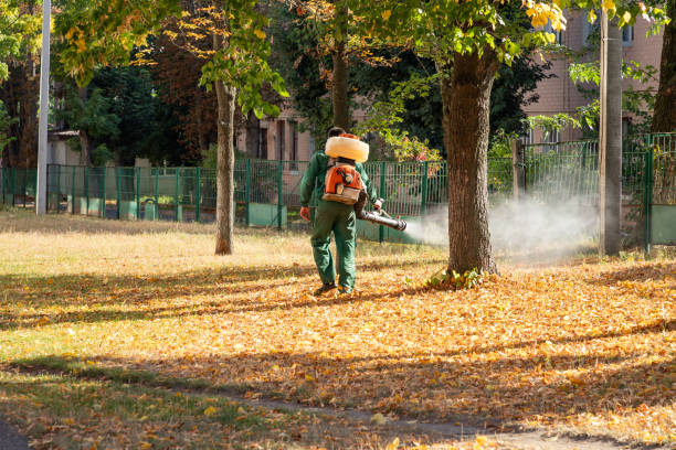 Pest Prevention Services in Bermuda Dunes, CA