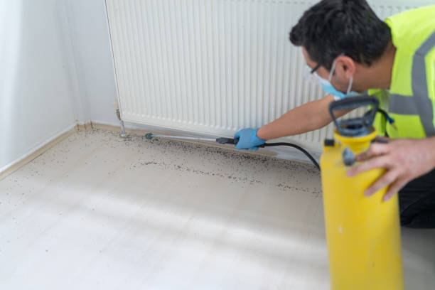 Best Local Pest Control Services  in Bermuda Dunes, CA