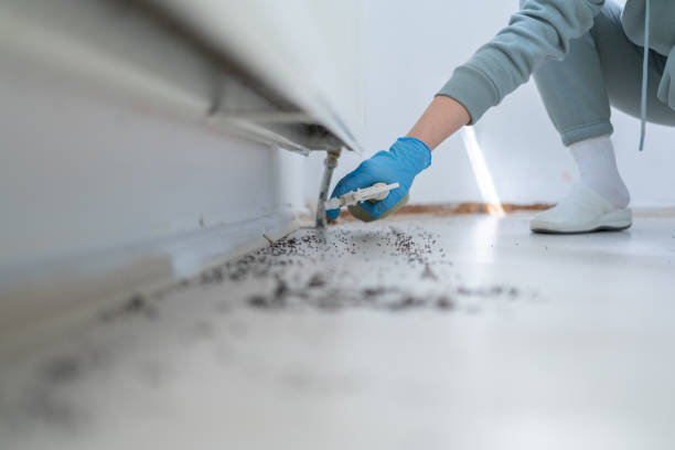 Best Affordable Pest Control Services  in Bermuda Dunes, CA